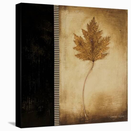 Maple Leaves 1-Kimberly Poloson-Stretched Canvas