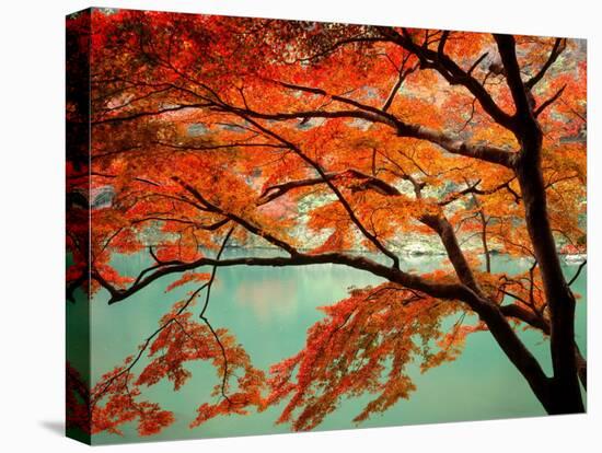 Maple Leaves, Arashi-Yama, Kyoto, Japan-null-Premier Image Canvas