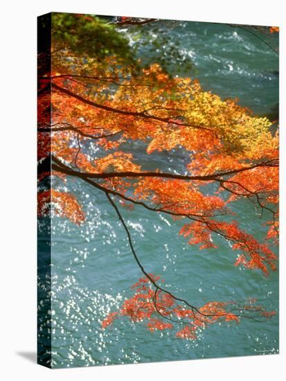 Maple Leaves Over River Uji-null-Premier Image Canvas