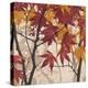 Maple Story 1-Melissa Pluch-Stretched Canvas
