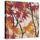 Maple Story 2-Melissa Pluch-Stretched Canvas