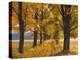 Maple Trees, Avenue, Autumn-Thonig-Premier Image Canvas