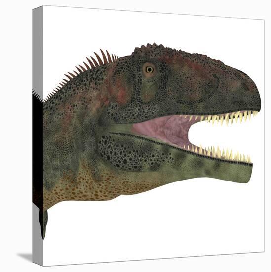 Mapusaurus Dinosaur Head-Stocktrek Images-Stretched Canvas