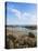 Mar Morto Beach-Guido Cozzi-Premier Image Canvas
