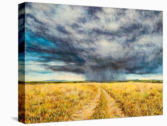 Mara Storm, 2012-Tilly Willis-Premier Image Canvas