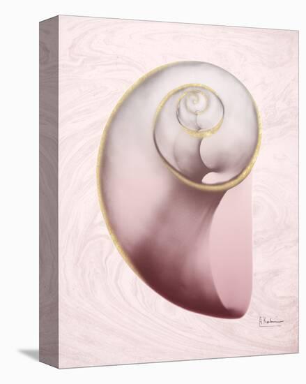 Marble Blush Snail 2-Albert Koetsier-Stretched Canvas