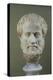 Marble Head of Aristotle (384-322 BC )-null-Premier Image Canvas