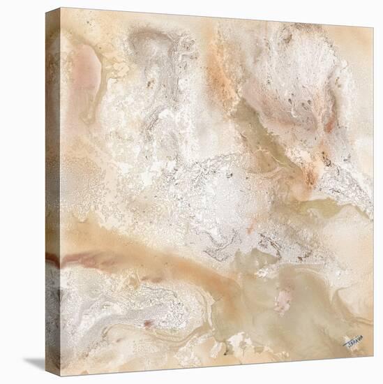 Marbled Expression I-Jason Jarava-Premier Image Canvas