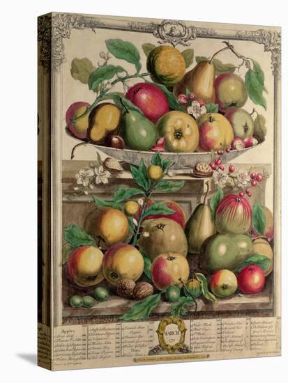 March, from "Twelve Months of Fruits", by Robert Furber, 1732-Pieter Casteels-Premier Image Canvas