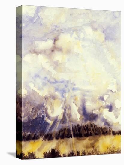 March Sky, 1989-Joan Thewsey-Premier Image Canvas