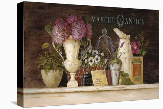 Marche Antica Vignette-Angela Staehling-Stretched Canvas