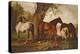 Mare and Foals-George Stubbs-Premier Image Canvas
