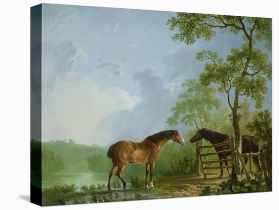 Mare and Stallion in a Landscape-Sawrey Gilpin-Premier Image Canvas