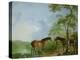 Mare and Stallion in a Landscape-Sawrey Gilpin-Premier Image Canvas