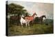 Mares and Foal with a Sheepdog-John Emms-Premier Image Canvas