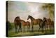 Mares and Foals Disturbed by an Approaching Storm, 1764-66-George Stubbs-Premier Image Canvas