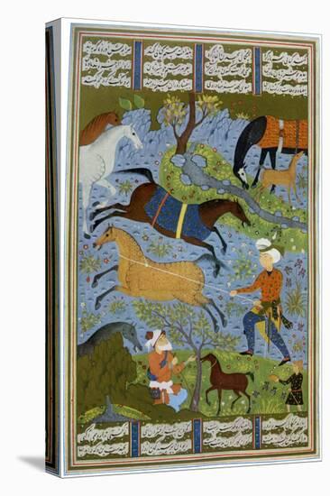 Mares and Foals, Persia, 10th Century-null-Premier Image Canvas