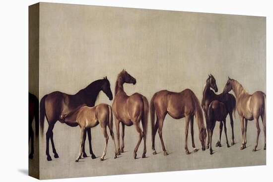 Mares and Foals Without a Background, circa 1762-George Stubbs-Premier Image Canvas