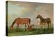 Mares and Foals-Sawrey Gilpin-Premier Image Canvas