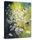 Marguerites dans un Champs-Genevieve Dolle-Stretched Canvas