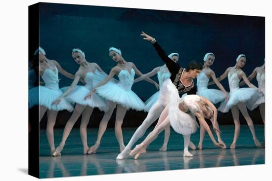 Maria Alexandrova, of the Bolshoi Ballet, as Odette in 'Swan Lake'-null-Premier Image Canvas