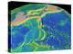 Mariana Trench Sea Floor Topography-us Geological Survey-Premier Image Canvas