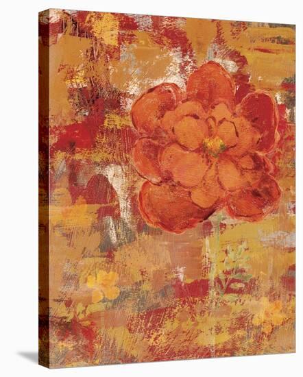 Marigolds IV-Lisa Ven Vertloh-Stretched Canvas