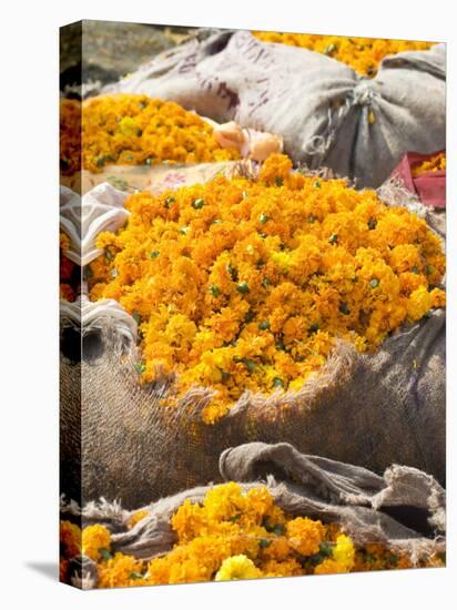 Marigolds Tied Up in Sacking Ready for Sale, Flower Market, Bari Chaupar, Jaipur, Rajasthan-Annie Owen-Premier Image Canvas