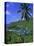 Marigot Bay, St. Lucia, Windward Islands, Caribbean, West Indies, Central America-John Miller-Premier Image Canvas