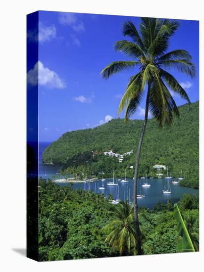 Marigot Bay, St. Lucia, Windward Islands, Caribbean, West Indies, Central America-John Miller-Premier Image Canvas