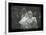 Marilyn Monroe IX-British Pathe-Stretched Canvas