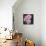 Marilyn Monroe-Dean Russo-Premier Image Canvas displayed on a wall