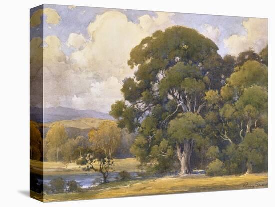 Marin Oaks-Percy Gray-Stretched Canvas
