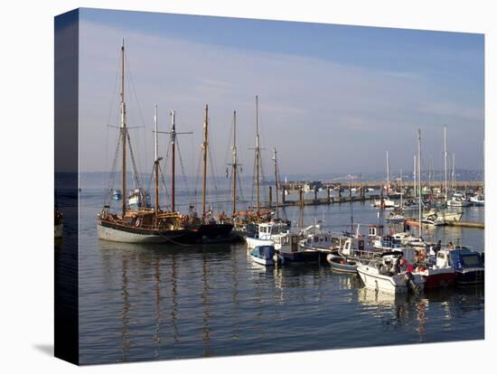 Marina, Brixham, Devon, England, United Kingdom, Europe-Jeremy Lightfoot-Premier Image Canvas