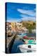 Marina di Corricella, Procida, Flegrean Islands, Campania, Italy, Europe-Neil Farrin-Premier Image Canvas