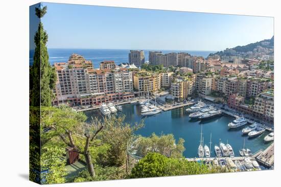 Marina, Port de Fontvieille, Fontvieille, Monaco, Cote d'Azur-Lisa S. Engelbrecht-Premier Image Canvas