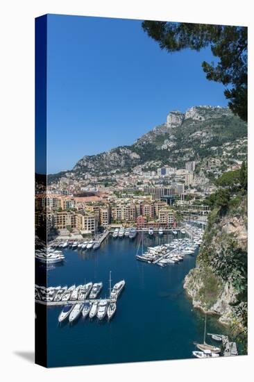 Marina, Port de Fontvieille, Fontvieille, Monaco, Cote d'Azur-Lisa S. Engelbrecht-Premier Image Canvas