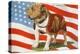 Marine Corp Boxer Dog with Flag-null-Stretched Canvas