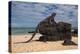 Marine Iguana (Amblyrhynchus Cristatus), Galapagos Islands, Ecuador-Pete Oxford-Premier Image Canvas