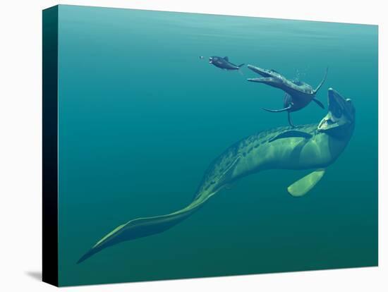 Marine Predators of the Cretaceous Period-Stocktrek Images-Premier Image Canvas