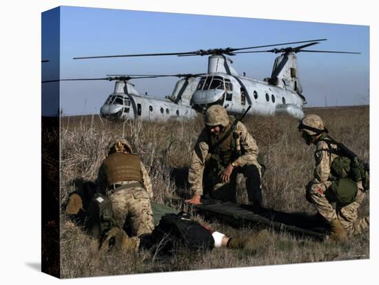 Marines and Sailors Conducted a Mass Casualty Exercise on San Clemente Island-Stocktrek Images-Premier Image Canvas