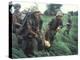 Marines Recovering Dead Comrade While under Fire During N. Vietnamese/Us Mil. Conflict-Larry Burrows-Premier Image Canvas
