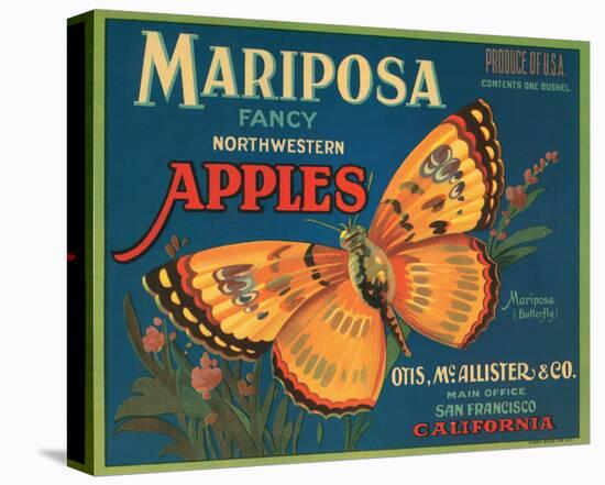 Mariposa Fancy Northwestern Apples-null-Stretched Canvas