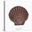 Maritime Still Life with Scallop-Uwe Merkel-Premier Image Canvas