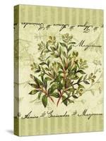 Marjoram-Kate Ward Thacker-Premier Image Canvas