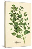 Marjoram-The Saturday Evening Post-Premier Image Canvas