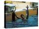 Mark Spitz Exults in a Victory-null-Premier Image Canvas