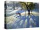 Markeaton Park, Early Snow-Andrew Macara-Premier Image Canvas