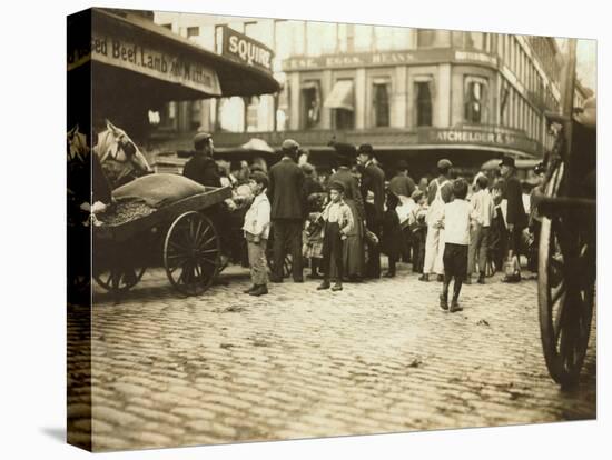 Market Scene, Boston, Massachusetts, c.1909-Lewis Wickes Hine-Stretched Canvas