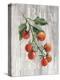 Market Vegetables IV on Wood-Silvia Vassileva-Stretched Canvas